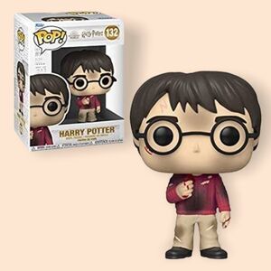 - 𝅺FUNKO pop Harry Potter with the stone 20th anniversary pop